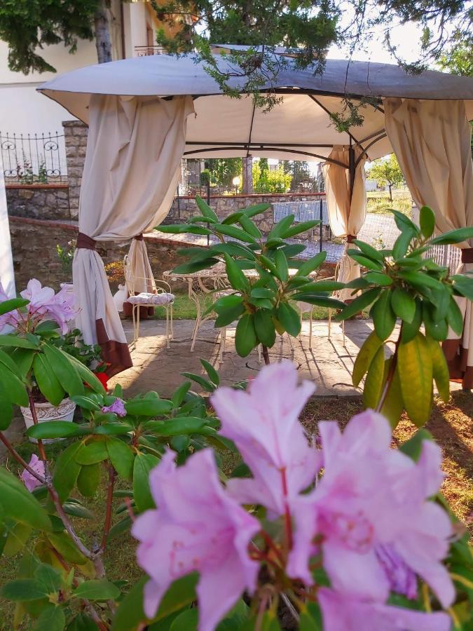 Villa Elvira Ambra 외부 사진