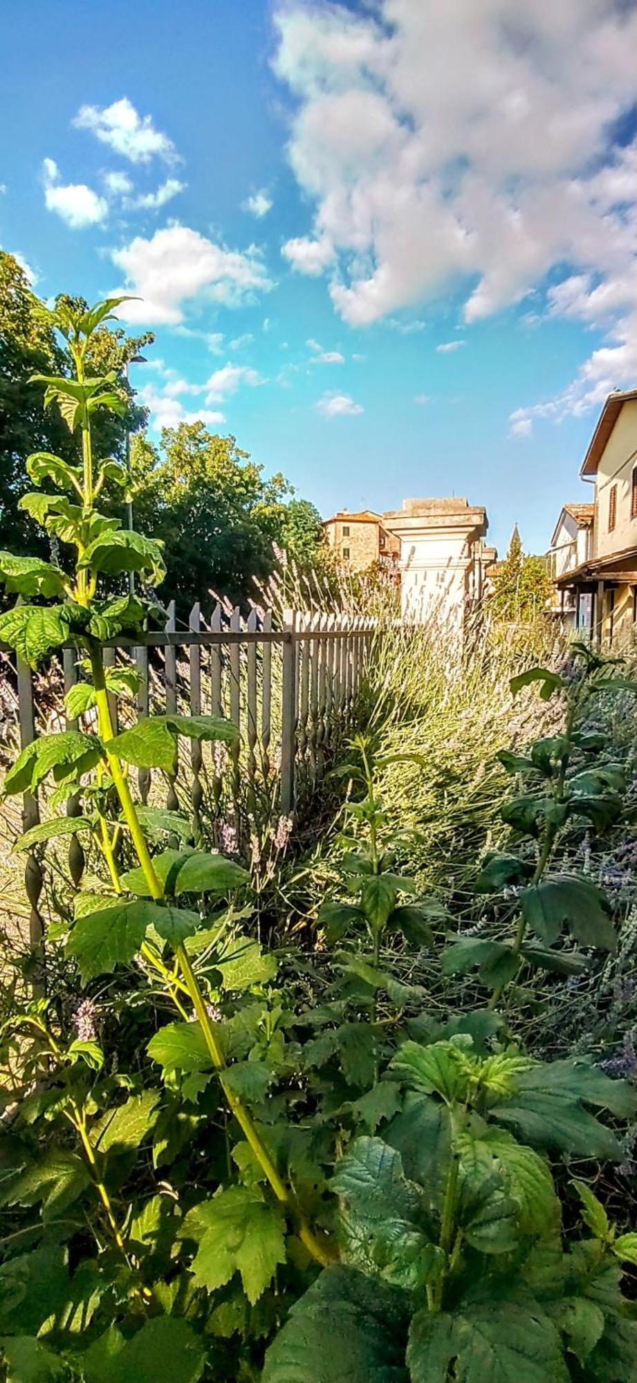 Villa Elvira Ambra 외부 사진