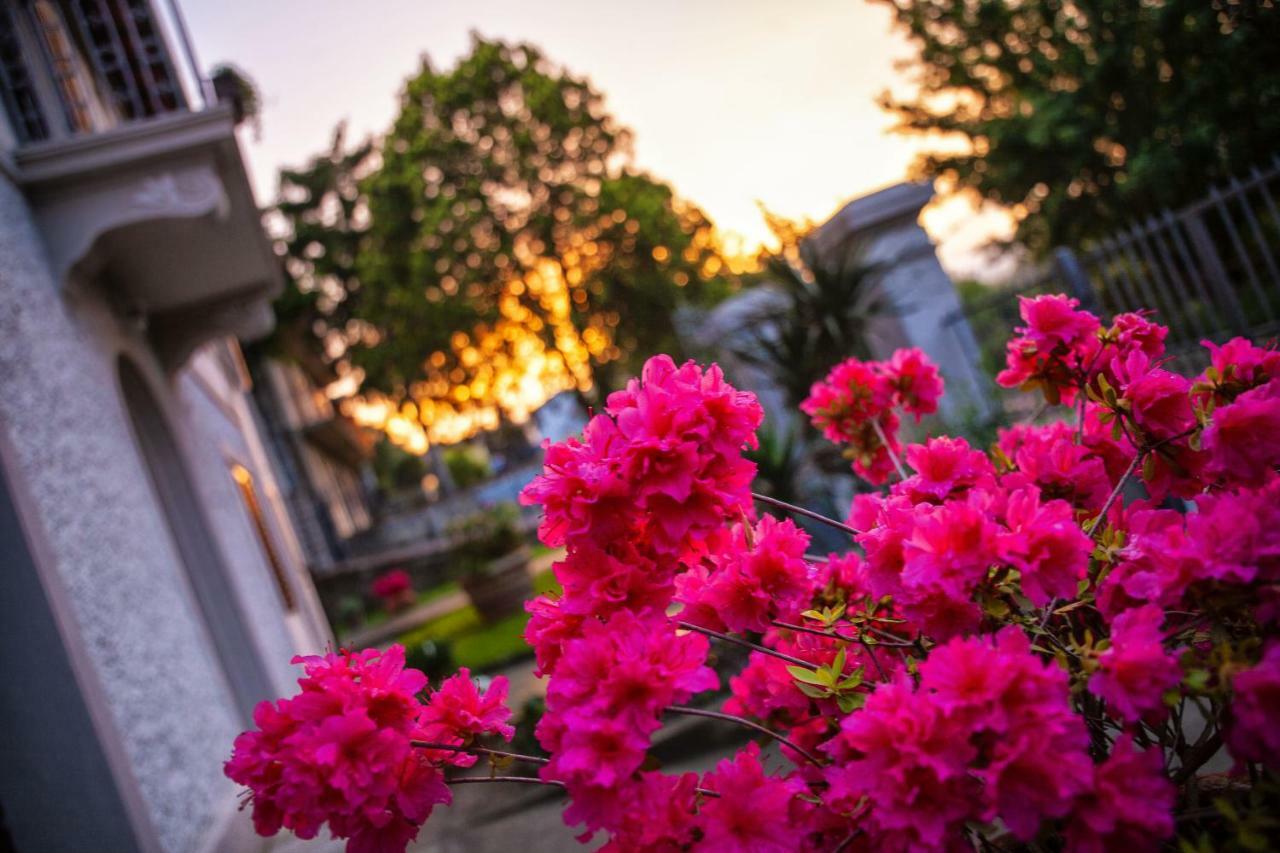 Villa Elvira Ambra 외부 사진